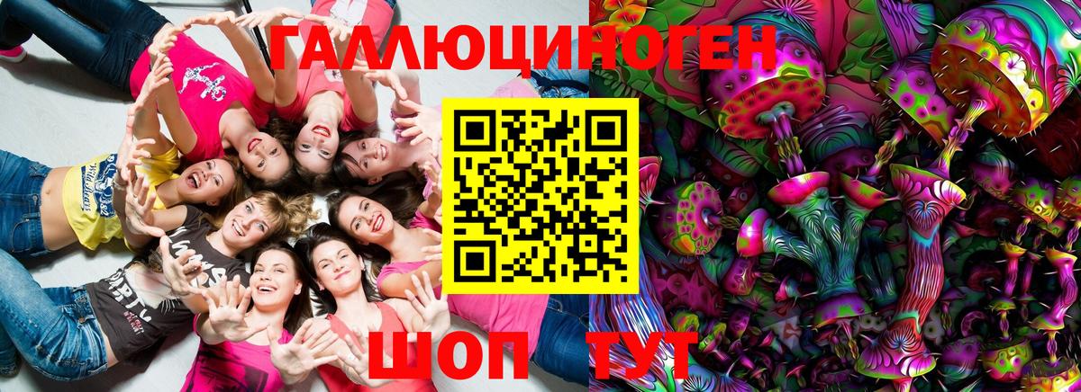 Краснокаменск  Псилоцибиновые грибы GOLDEN TEACHER  Вход с VPN  Галлюциногенные грибы Psilocybine cubensis 